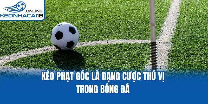Kèo phạt góc là dạng cược thú vị trong bóng đá